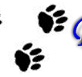 paw picture - this way to bobbytails dog training