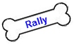 Rally - New Dog Sport
